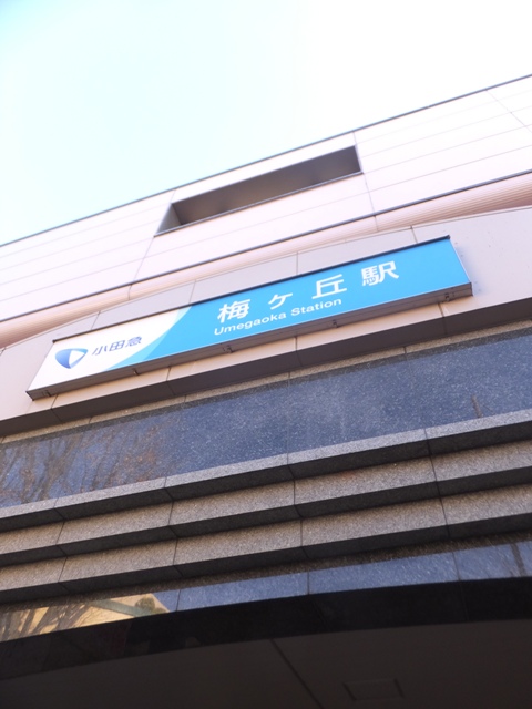 その他　梅ヶ丘駅・小田急電鉄／小田原線（その他）まで789m