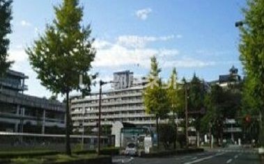 役所　高知市役所（役所）まで1248m