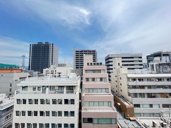 眺望　※別部屋の写真です