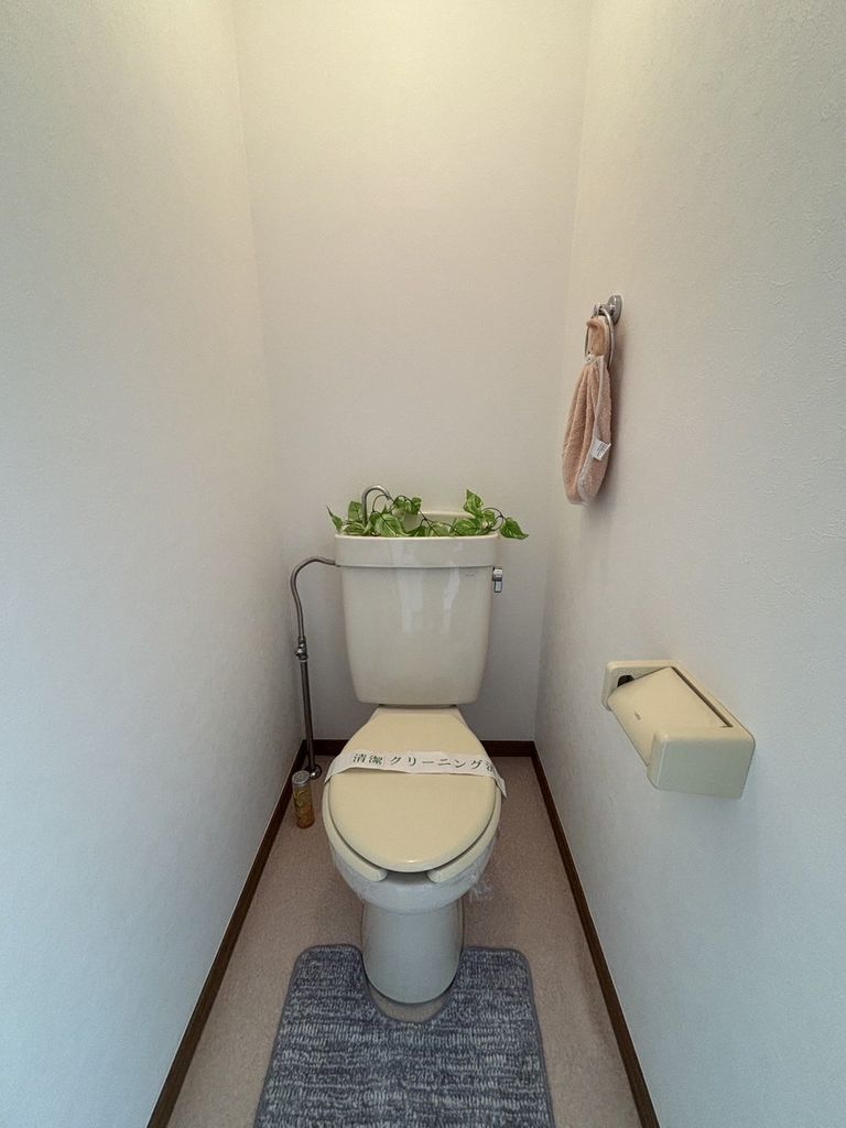 トイレ　トイレ