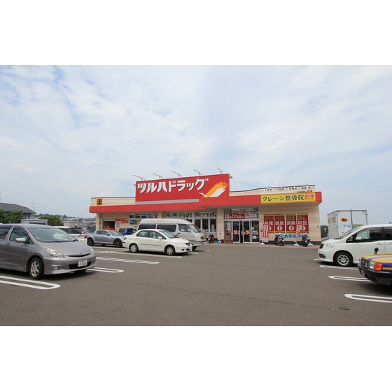 ドラックストア　ツルハドラッグ仙台緑ヶ丘店（ドラッグストア）まで1224m