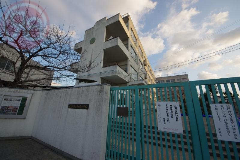 小学校　東大阪市立英田南小学校（小学校）まで244m