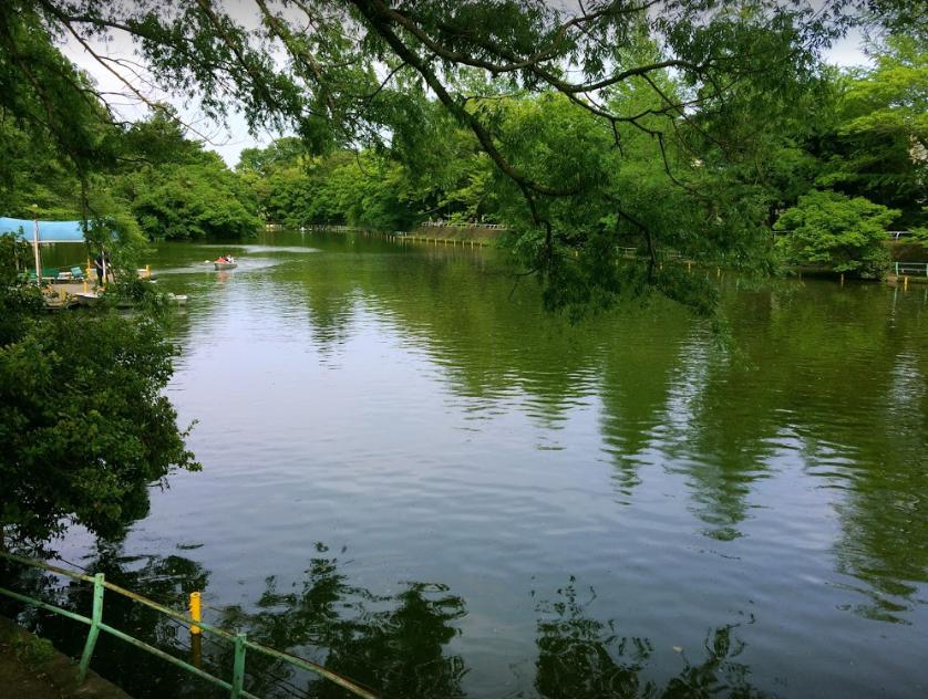 公園　武蔵関公園（公園）まで1321m