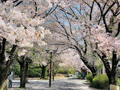 公園　豊島区立上池袋さくら公園（公園）まで508m