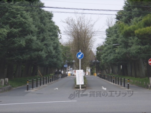 大学・短大　京都大学農学部（大学・短大）まで370m
