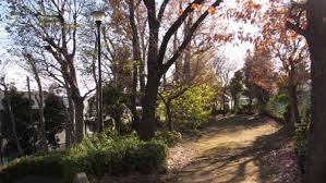 公園　早淵の森緑地（公園）まで645m