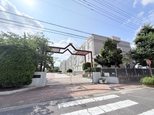 小学校　市立平針北小学校（小学校）まで229m