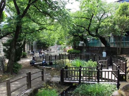 公園　氷川つり堀公園（公園）まで213m
