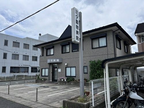 病院　ミタ動物病院（病院）まで400m