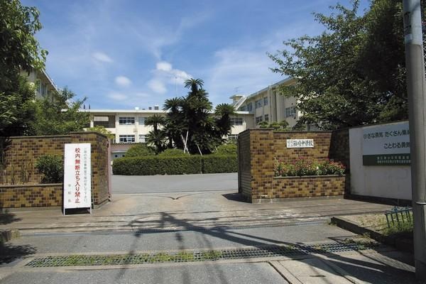 中学校　福岡市立箱崎中学校（中学校）まで2164m