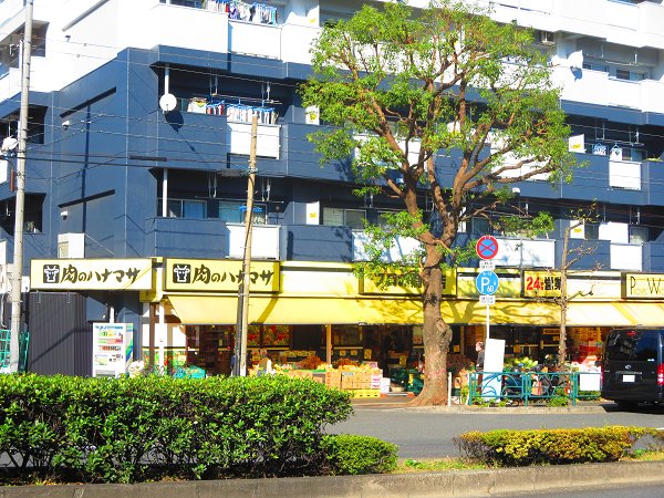 スーパー　肉のハナマサ　住吉店（スーパー）まで493m