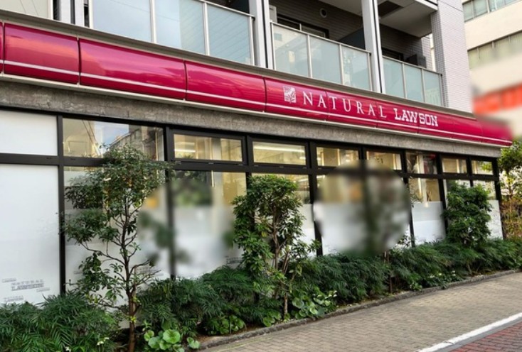 コンビニ　ナチュラルローソン NL港芝浦三丁目店（コンビニ）まで73m