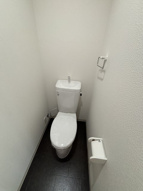 六甲ハイツUEDAのトイレ写真