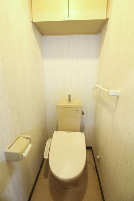 メゾンクレソンIIIのトイレ写真