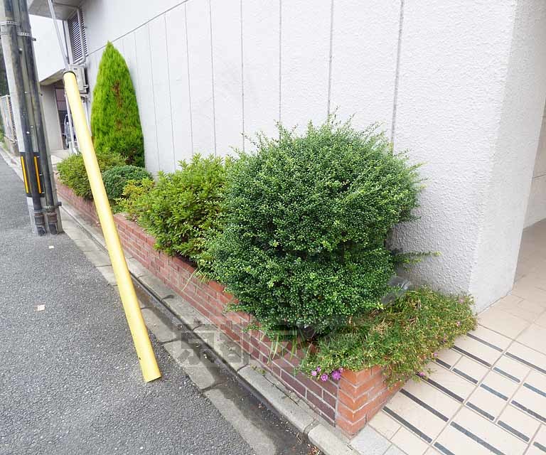 阪急京都線 西京極駅 徒歩4分 9階建 築52年のその他写真