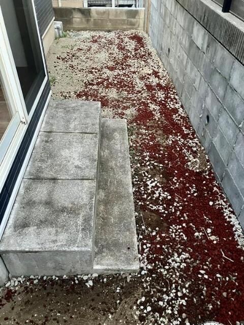 庭