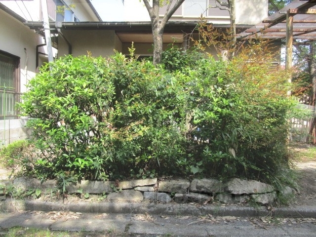 その他共有部分　植栽