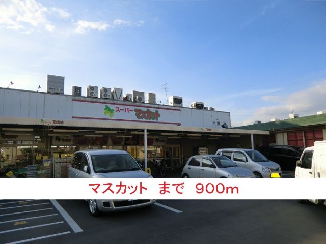 スーパー　マスカット（スーパー）まで900m