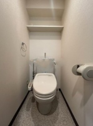 グランド・ガーラ麻布十番のトイレ写真