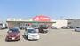 ドラックストア　クスリのアオキ 文京店（ドラッグストア）まで212m