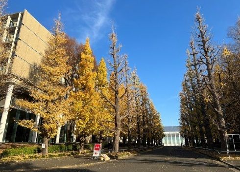 大学・短大　慶應義塾大学 日吉キャンパス（大学・短大）まで1400m