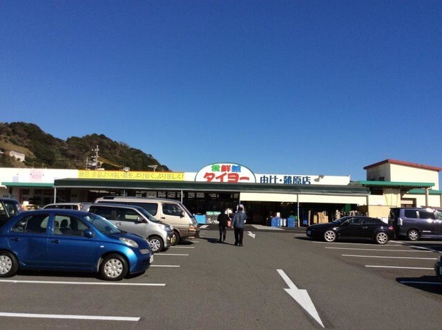 スーパー　食鮮館タイヨー由比蒲原店（スーパー）まで3593m