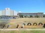 小学校　上越市小学校戸野目小学校（小学校）まで347m