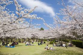 公園　県立鳥屋野潟公園 鐘木地区（公園）まで1770m