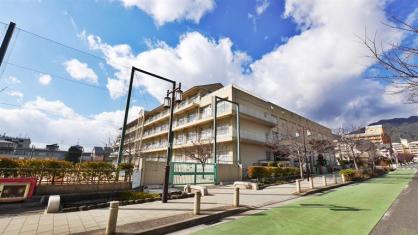 小学校　神戸市立灘小学校（小学校）まで421m