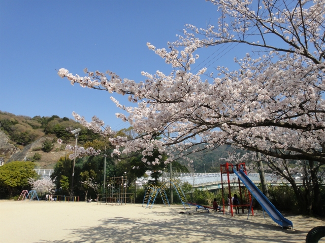 【シェモア稲葉台の小学校】