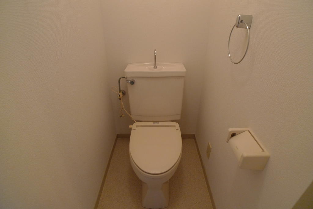 パークビュー緑ヶ丘のトイレ写真