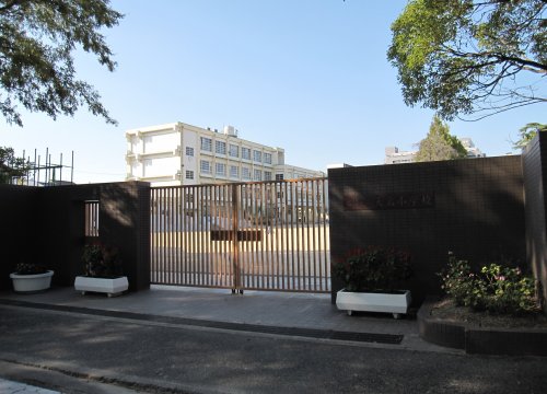 小学校　尼崎市立大島小学校（小学校）まで427m