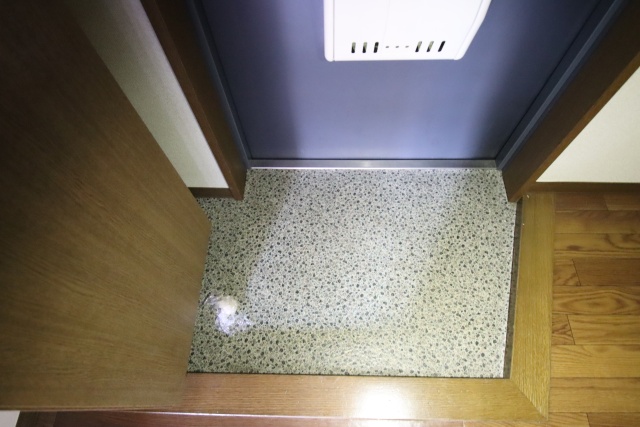 玄関　※別室の参考写真の為、現況優先です。