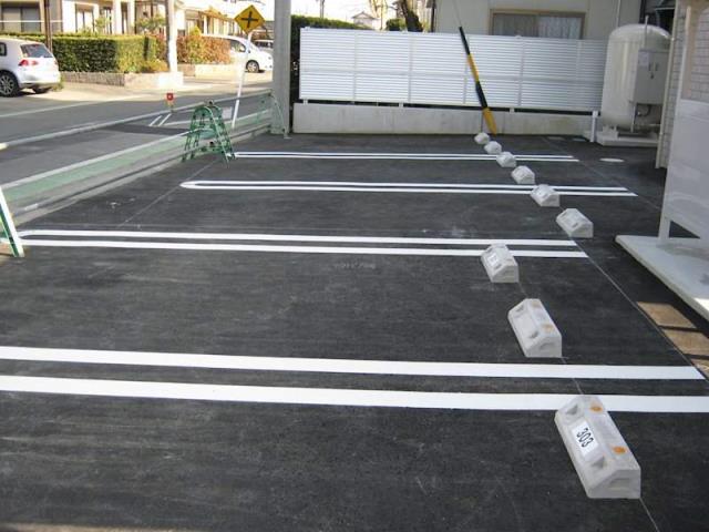 レモンバーム_その他_4