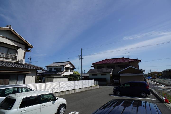 レモンバーム_その他_5