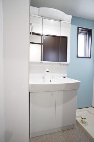 レモンバーム_その他_1