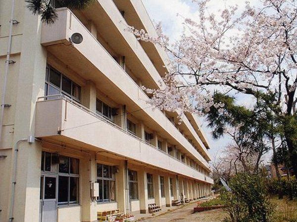 小学校　船橋市立宮本小学校（小学校）まで560m