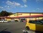 ドラックストア　ドラッグストアモリ田島店（ドラッグストア）まで380m