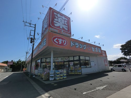 ドラックストア　ドラッグセガミ八街店（ドラッグストア）まで843m