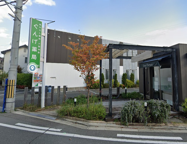 ドラックストア　ぐんげ薬局（ドラッグストア）まで773m