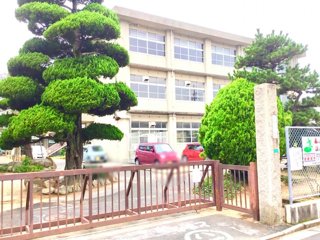 小学校　柳津小学校（小学校）まで599m