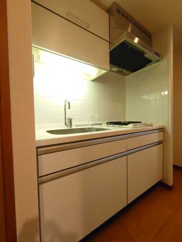 キッチン　ミリアレジデンス東池袋のキッチン（反転タイプ）