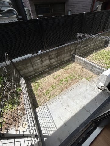 庭