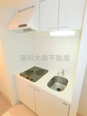 キッチン　2口ガスシステムキッチン