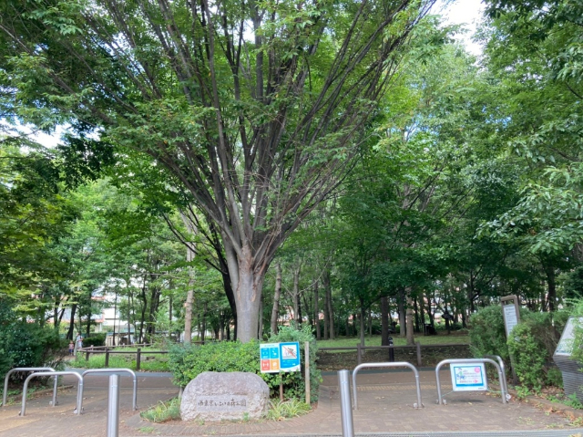 公園　西東京いこいの森公園（公園）まで1528m