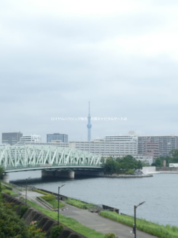 眺望　※別部屋参考イメージ