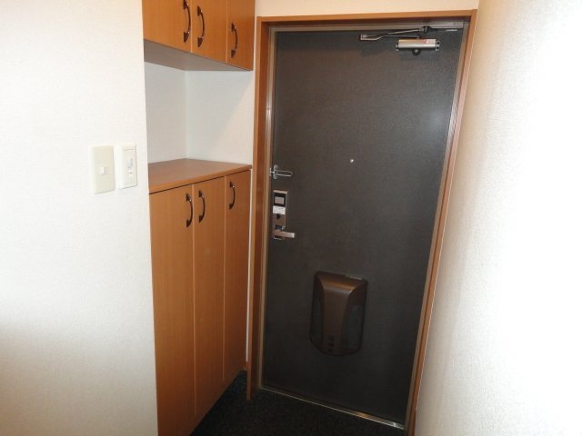 玄関　玄関（同タイプ）(イメージ)