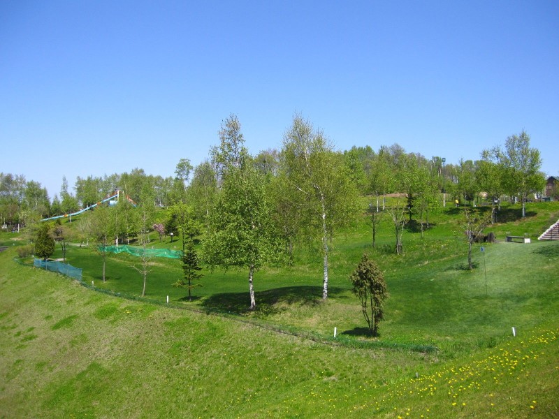 公園　虹ケ丘公園（公園）まで1751m