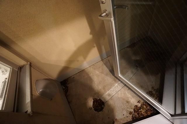 バルコニー　別タイプ部屋　参考写真です