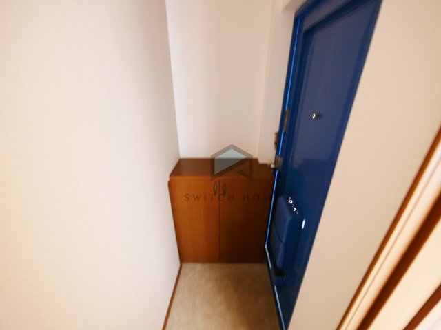 玄関　落ち着いた玄関です